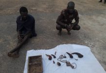 Two suspected ritualists lure woman from Lagos to Oyo, behead her, dismember body