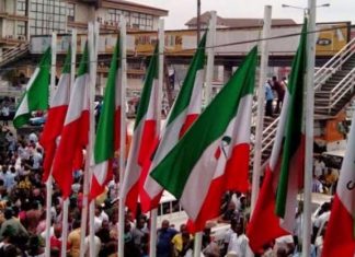 PDP convention: Full list of newly elected NWC members