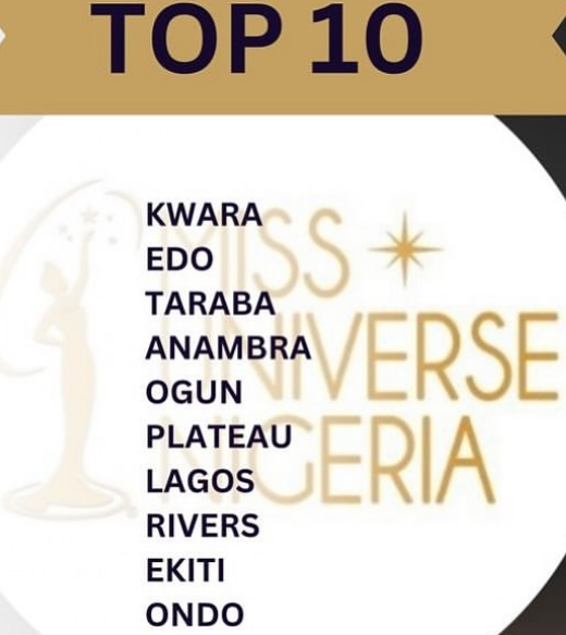 miss universe nigeria top 10