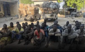 Hunger Looms for Terrorists as Troops Seize Smoked Fish Supplies From 22 Suspects in Borno