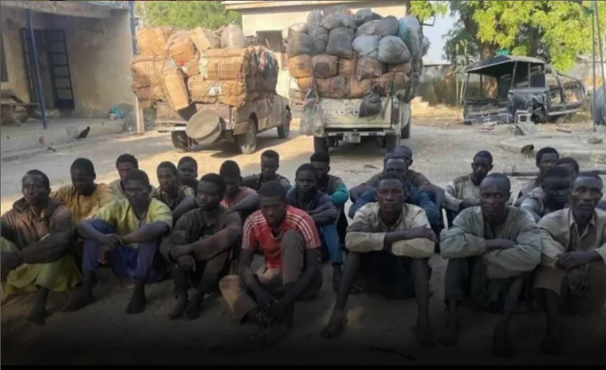 Hunger Looms for Terrorists as Troops Seize Smoked Fish Supplies From 22 Suspects in Borno