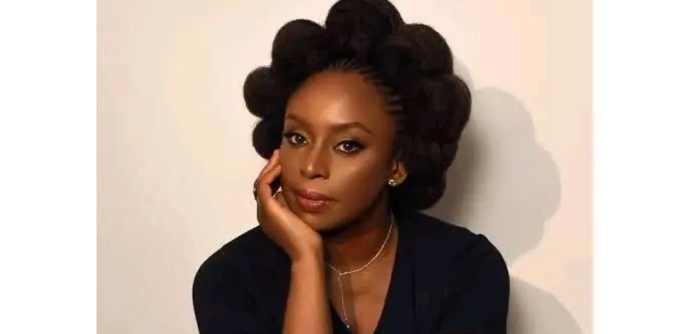 Chimamanda Adichie Alleges Medical Negligence as She Reveals How Anesthesiologist Overdosed Her Son, Nkanu