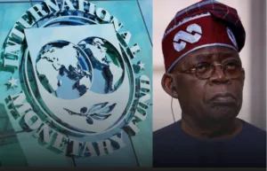 Cost of Living Fears: IMF Demands New Fuel, Call, and Data Taxes in Nigeria to Save Economy
