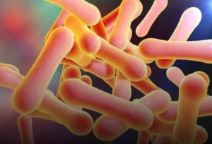 Diphtheria Outbreak Kills 23 in Plateau as 143 Suspected Cases Recorded in Two Weeks