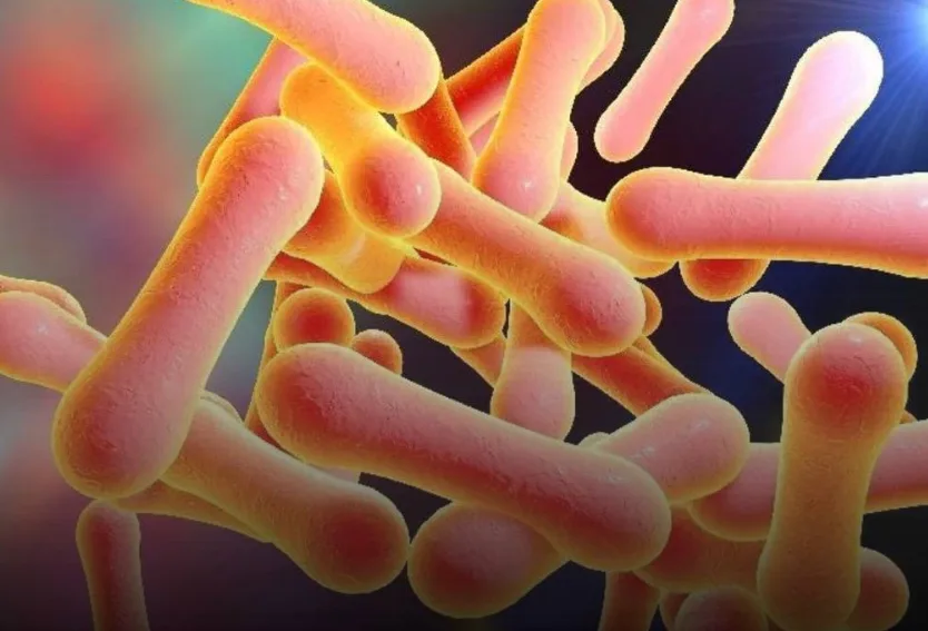 Diphtheria Outbreak Kills 23 in Plateau as 143 Suspected Cases Recorded in Two Weeks