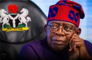 2027: Tinubu Challenges Presidential Aspirants to Explain Cost of Campaign Promises